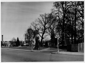 black and white street view