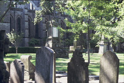 colour photo of several headstones